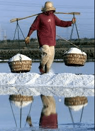 December Balance Dataslate – The salt&nbsp;diaries